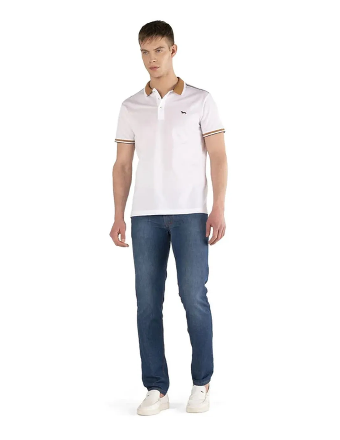 HARMONT E BLAIN JEANS UOMO,5 TK BASICO NARROW